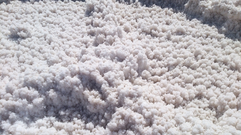 США с Востока на Запад: через горы, пляжи и песочницу