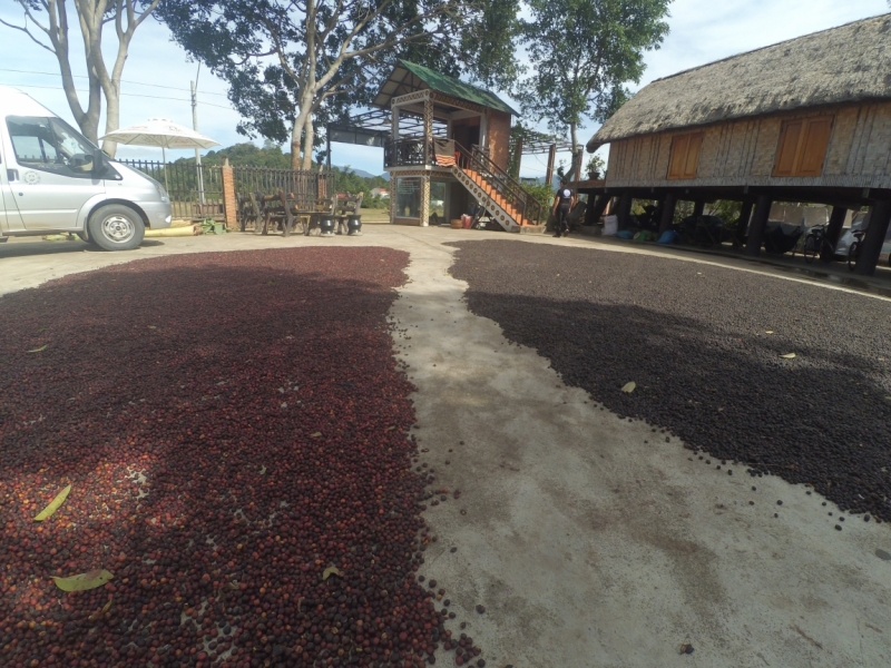 С севера на юг через Лаос