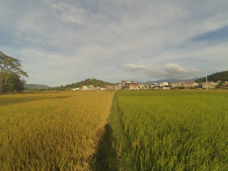 С севера на юг через Лаос