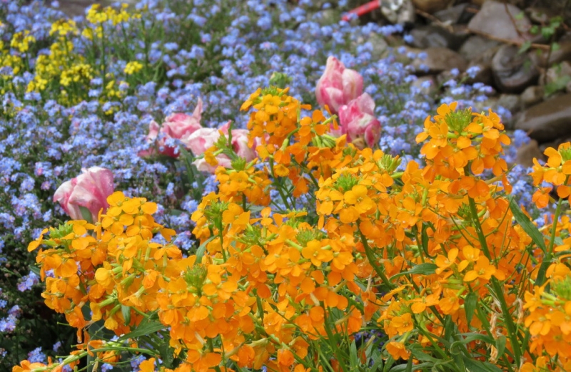 Швейцария по шпаргалке. 11-19 мая 2016.