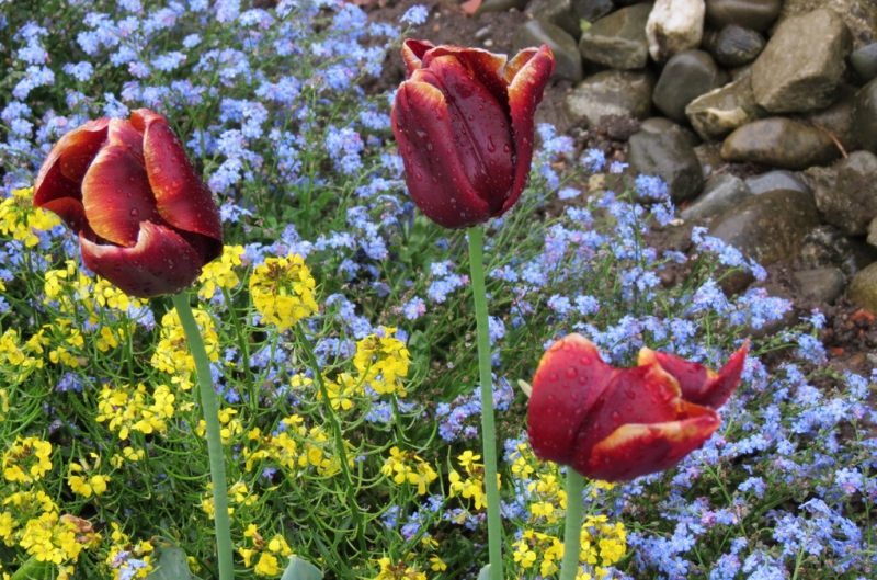 Швейцария по шпаргалке. 11-19 мая 2016.