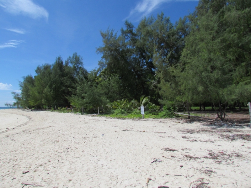 Мой первый Тай или верните меня обратно и навсегда!