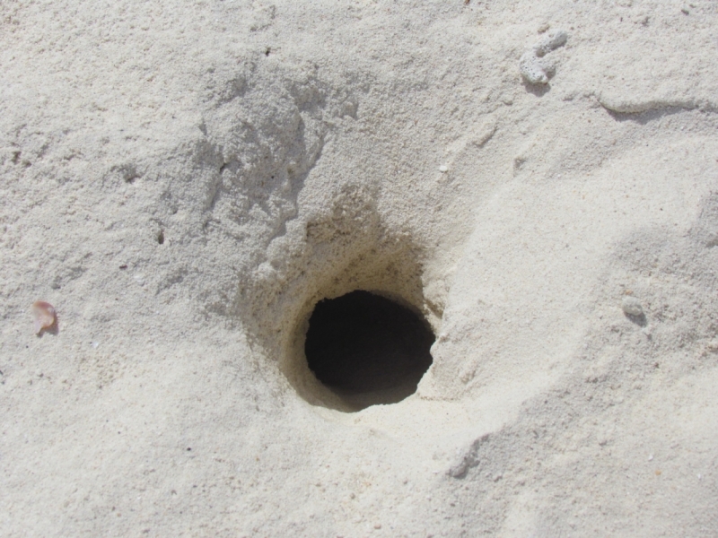 Мой первый Тай или верните меня обратно и навсегда!