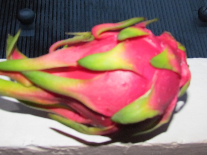 Мой первый Тай или верните меня обратно и навсегда!