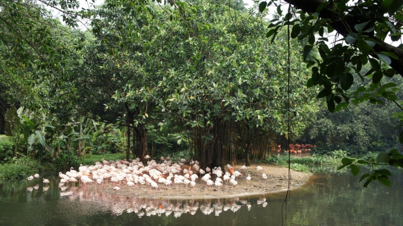 Путешествие, которое изменило жизнь. Месяц в Китае ( 9 городов)