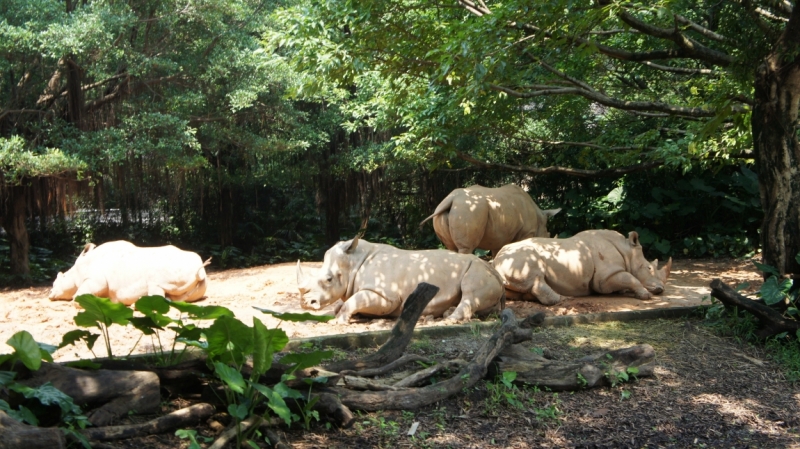 Путешествие, которое изменило жизнь. Месяц в Китае ( 9 городов)
