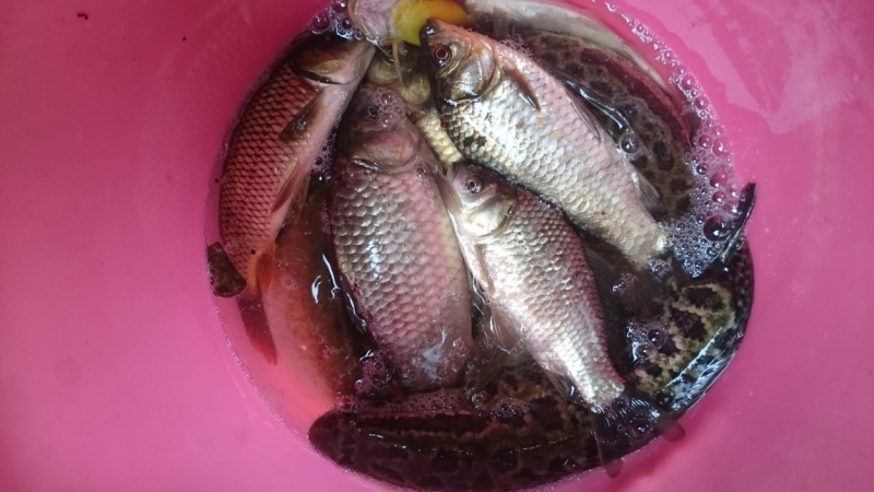 Путешествие, которое изменило жизнь. Месяц в Китае ( 9 городов)