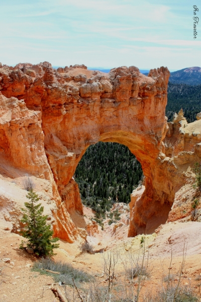 А в моих ботинках до сих пор песок. Zion, Bryce, Antelope,Grand Canyons+LA+Vegas