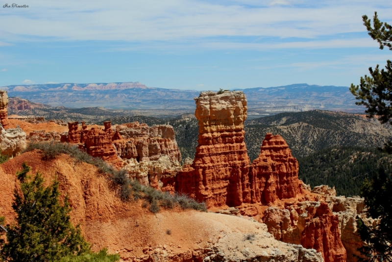 А в моих ботинках до сих пор песок. Zion, Bryce, Antelope,Grand Canyons+LA+Vegas