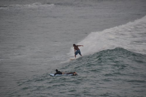 Шри-Ланка: страна смеющихся людей и собак.
