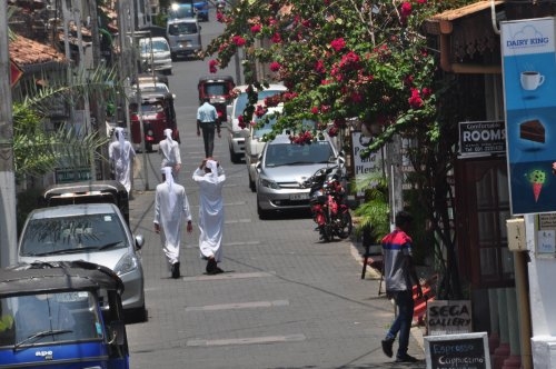 Шри-Ланка: страна смеющихся людей и собак.