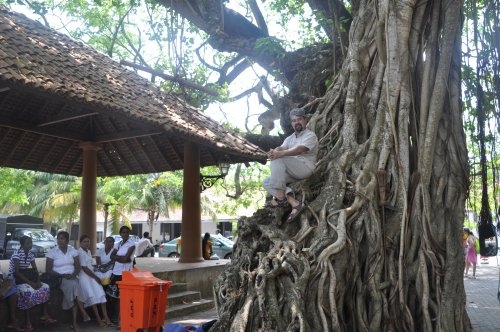 Шри-Ланка: страна смеющихся людей и собак.