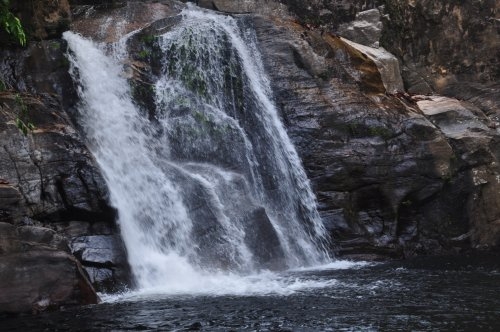 Шри-Ланка: страна смеющихся людей и собак.