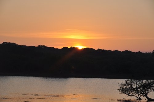 Шри-Ланка: страна смеющихся людей и собак.