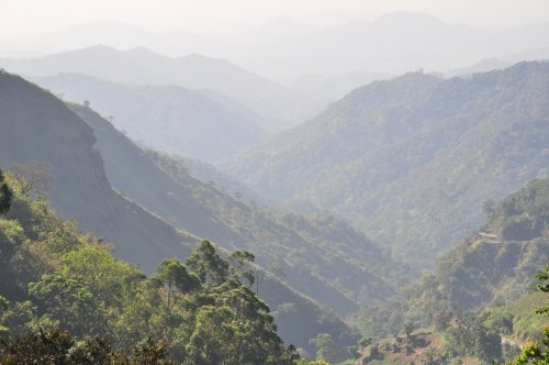 Шри-Ланка: страна смеющихся людей и собак.