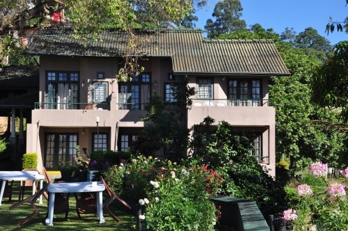 Шри-Ланка: страна смеющихся людей и собак.