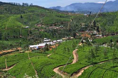 Шри-Ланка: страна смеющихся людей и собак.
