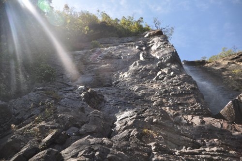 Шри-Ланка: страна смеющихся людей и собак.