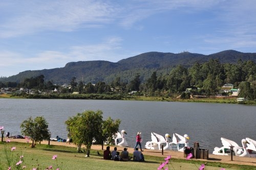 Шри-Ланка: страна смеющихся людей и собак.