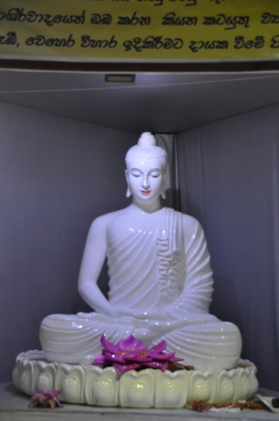 Шри-Ланка: страна смеющихся людей и собак.