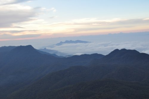 Шри-Ланка: страна смеющихся людей и собак.
