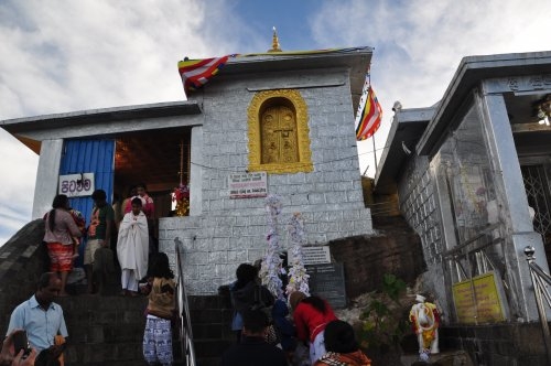 Шри-Ланка: страна смеющихся людей и собак.