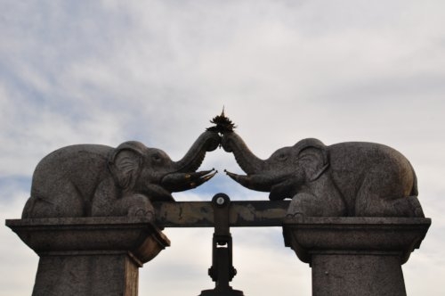 Шри-Ланка: страна смеющихся людей и собак.