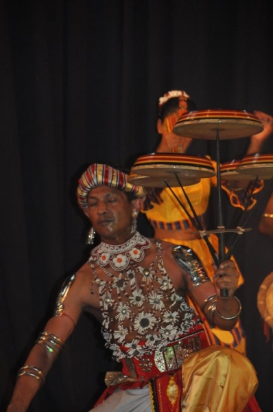 Шри-Ланка: страна смеющихся людей и собак.