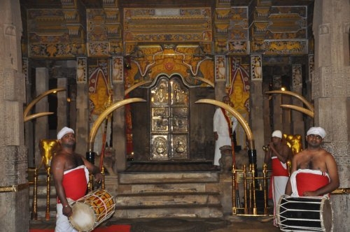 Шри-Ланка: страна смеющихся людей и собак.