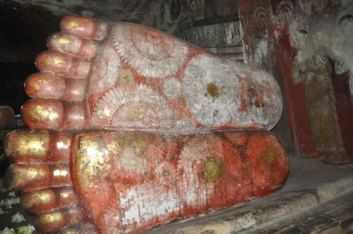 Шри-Ланка: страна смеющихся людей и собак.