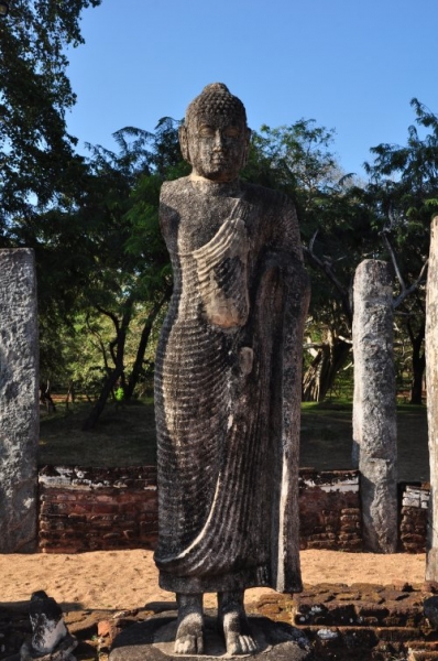 Шри-Ланка: страна смеющихся людей и собак.