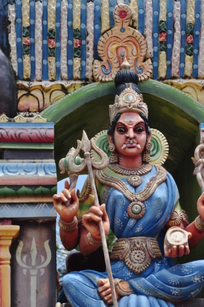 Шри-Ланка: страна смеющихся людей и собак.