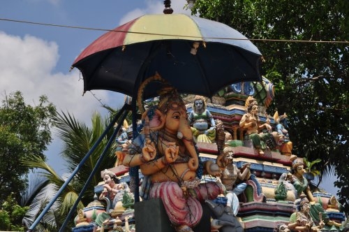 Шри-Ланка: страна смеющихся людей и собак.