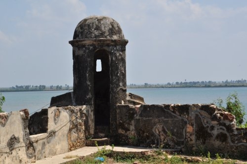 Шри-Ланка: страна смеющихся людей и собак.