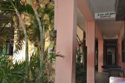 Шри-Ланка: страна смеющихся людей и собак.