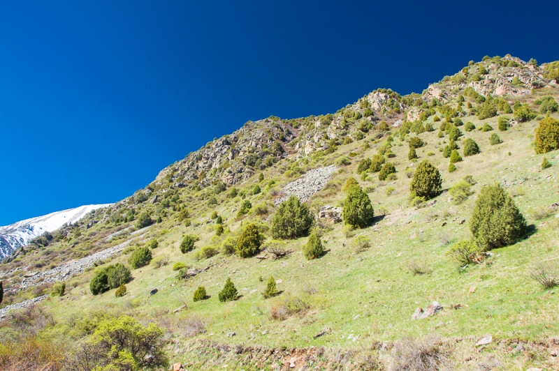 Фото отчет Кыргызстан май 2016 (рабочая командировка)
