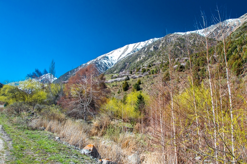 Фото отчет Кыргызстан май 2016 (рабочая командировка)