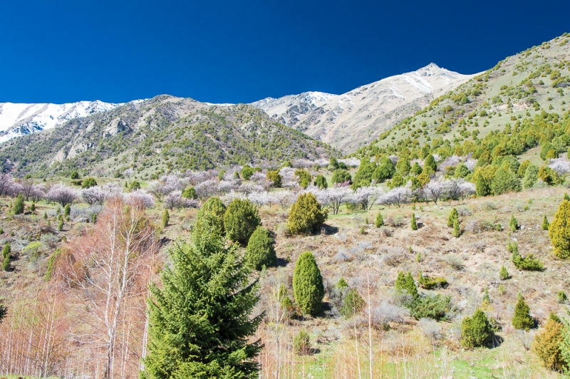 Фото отчет Кыргызстан май 2016 (рабочая командировка)