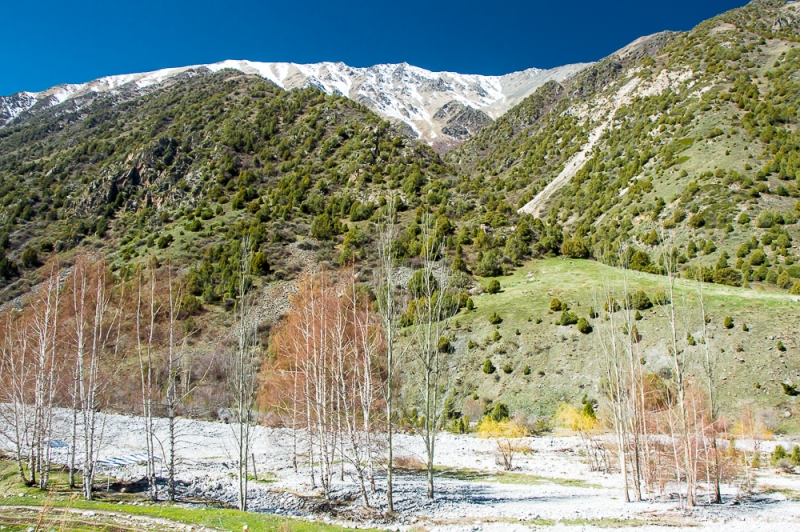 Фото отчет Кыргызстан май 2016 (рабочая командировка)