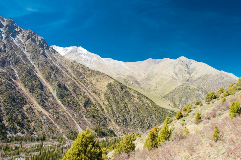 Фото отчет Кыргызстан май 2016 (рабочая командировка)
