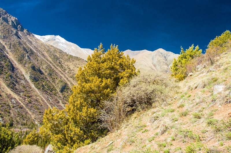 Фото отчет Кыргызстан май 2016 (рабочая командировка)