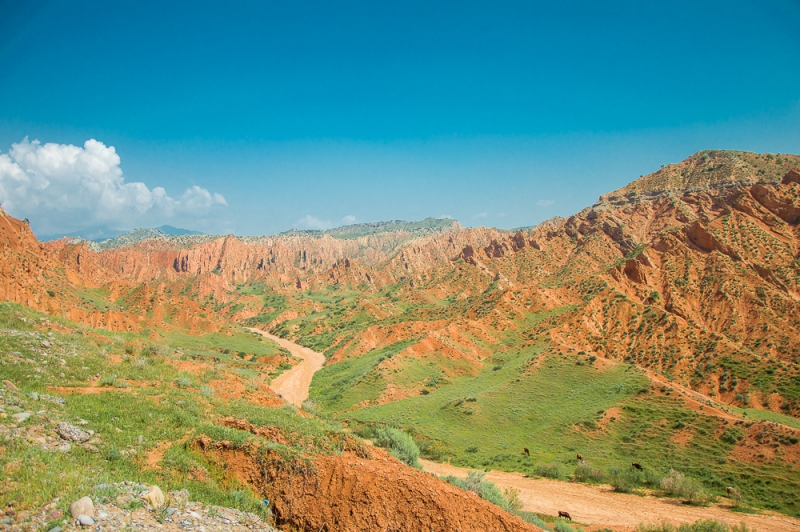 Фото отчет Кыргызстан май 2016 (рабочая командировка)