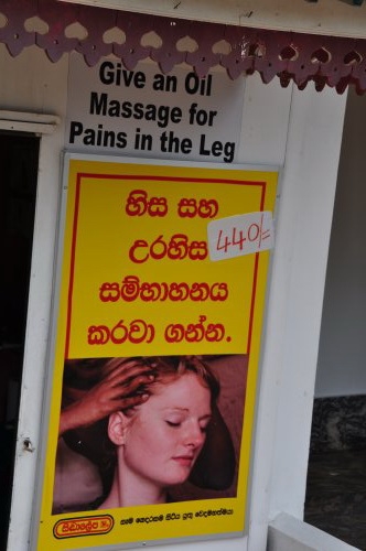 Шри-Ланка: страна смеющихся людей и собак.