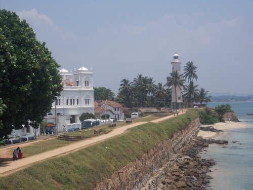 Шри-Ланка: страна смеющихся людей и собак.