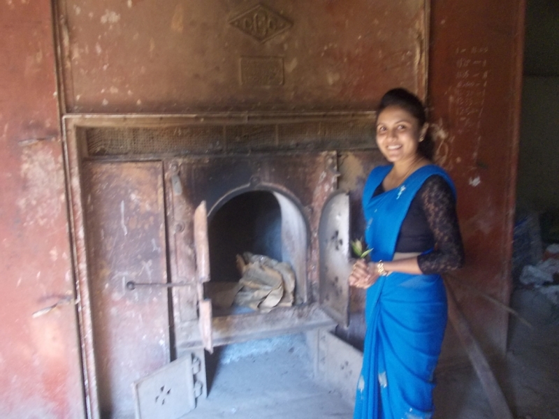 Шри-Ланка: страна смеющихся людей и собак.