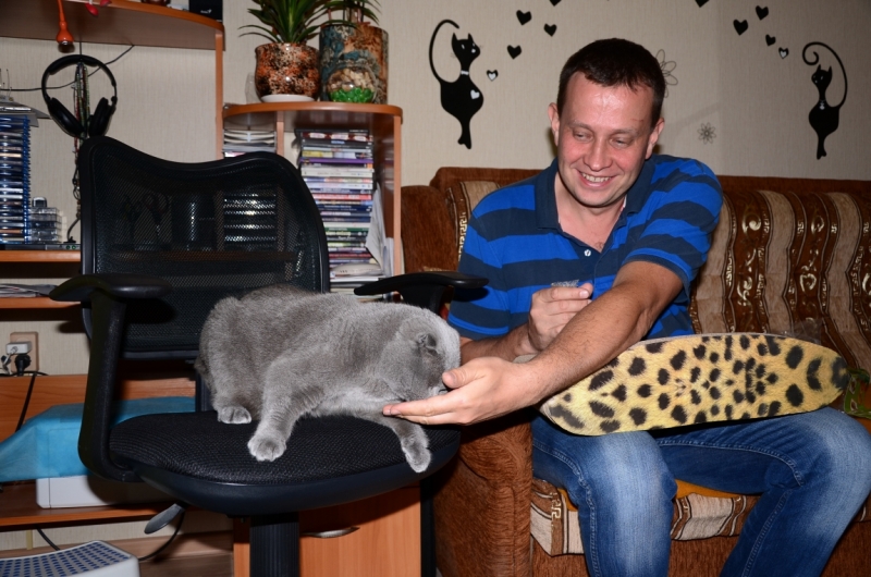 Поговорим о кошках40