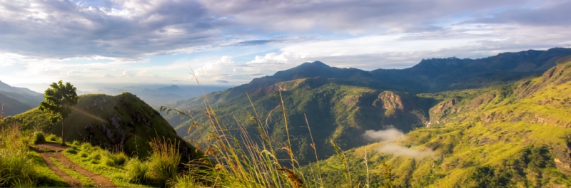 Шри-Ланка октябрь 2015