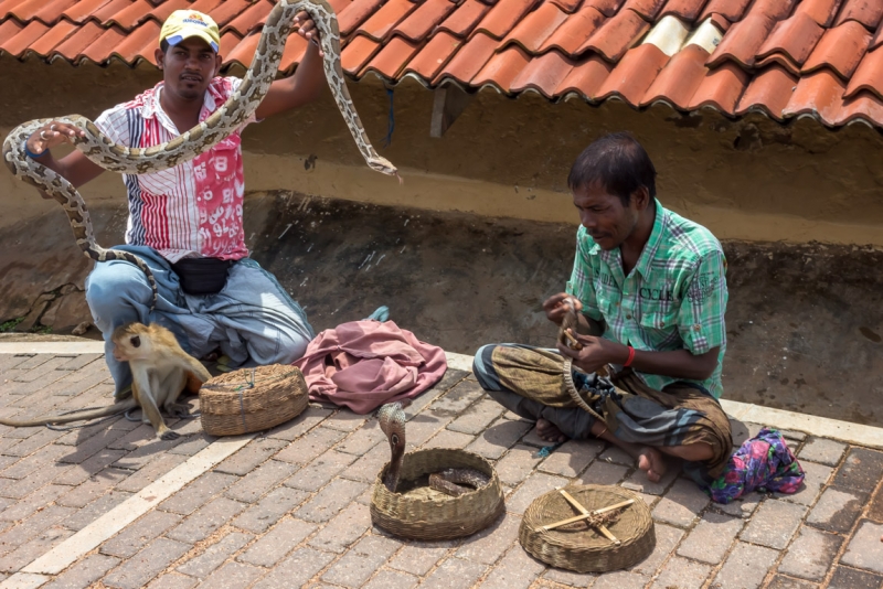 Шри-Ланка октябрь 2015