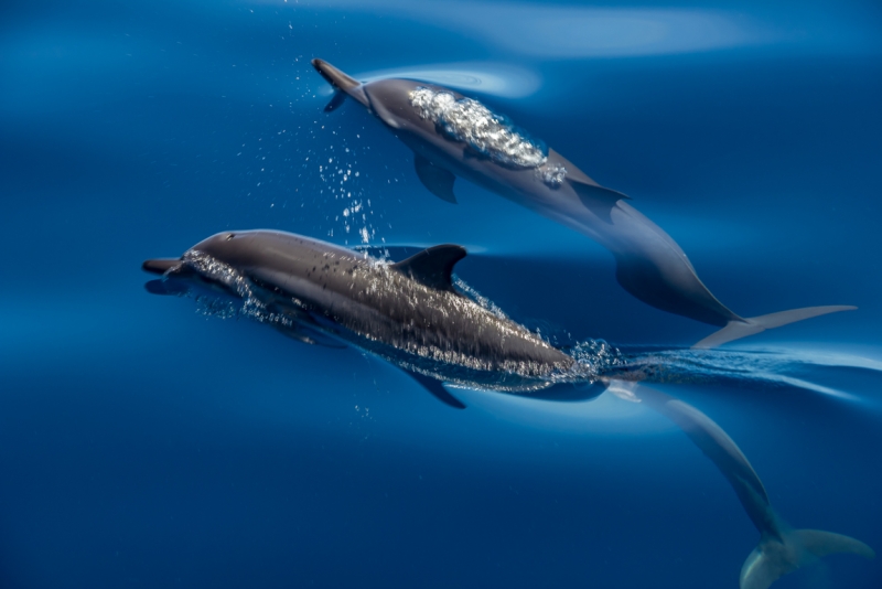 Мальдивы октябрь 2015