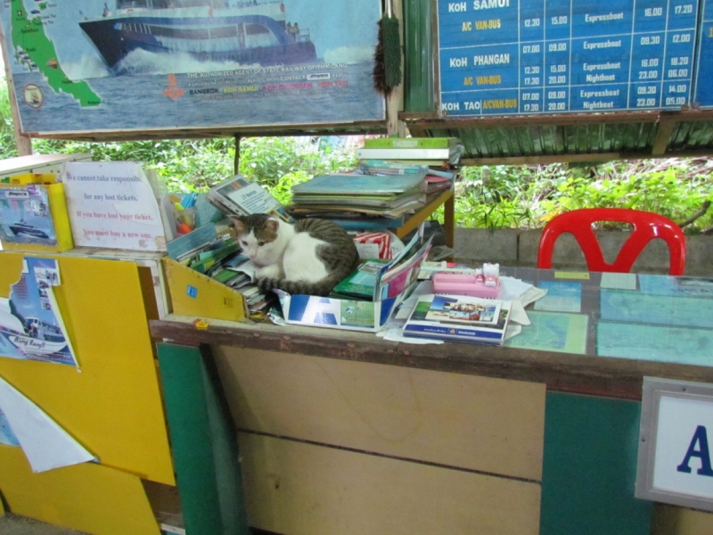 Мой первый Тай или верните меня обратно и навсегда!